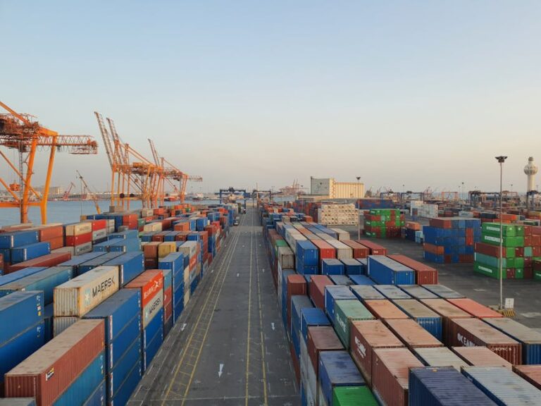 EU Generalised Scheme of Preferences GSP renewed