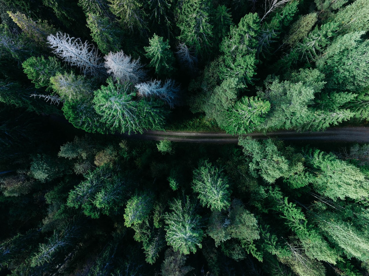 Industrial emissions and carbon policy