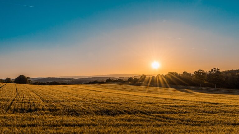European Commission unveils Fertilisers Action Plan today to secure food security and curb rising costs