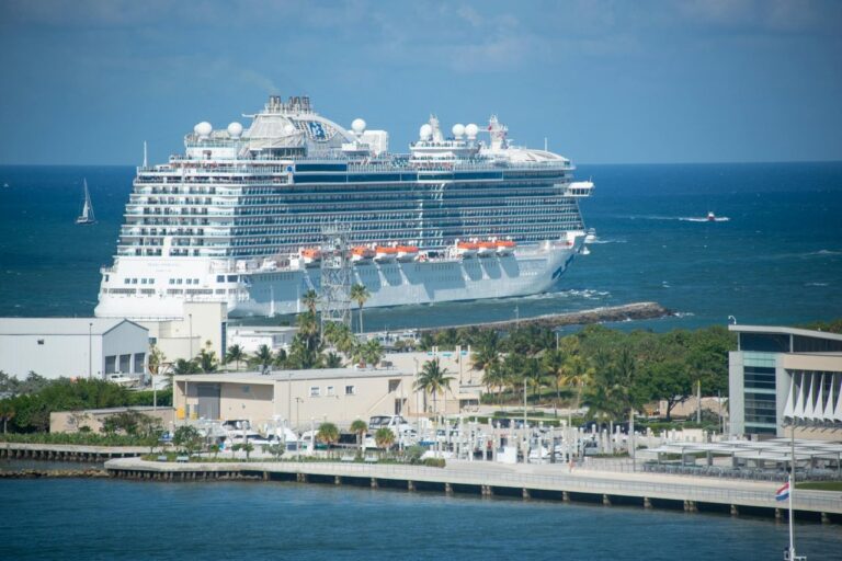 Hantavirus Outbreak on Ship Kills 3 of 8 Cases in Tenerife