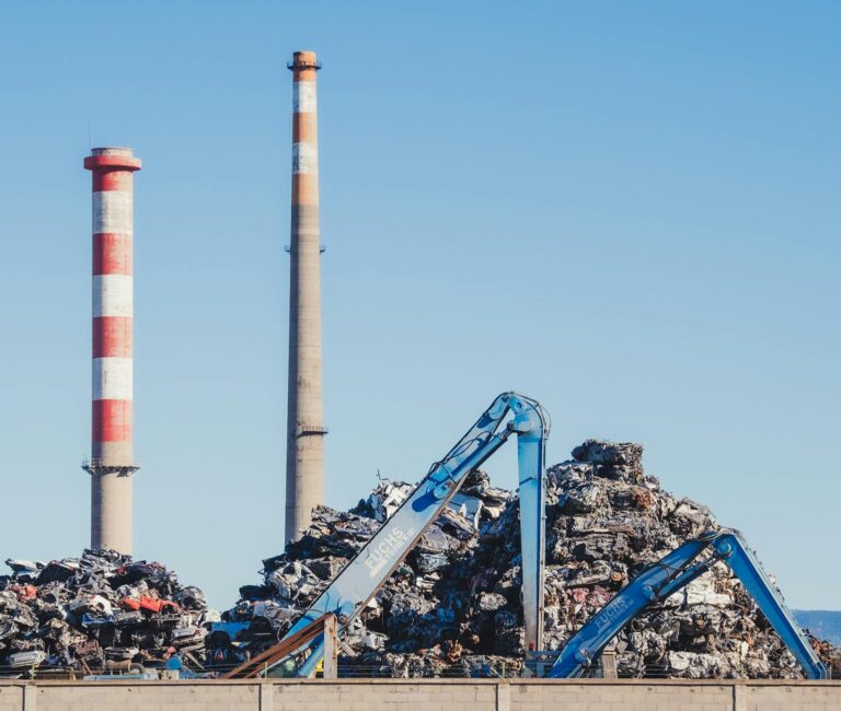 Édition génétique et recyclage automobile au vote à Strasbourg