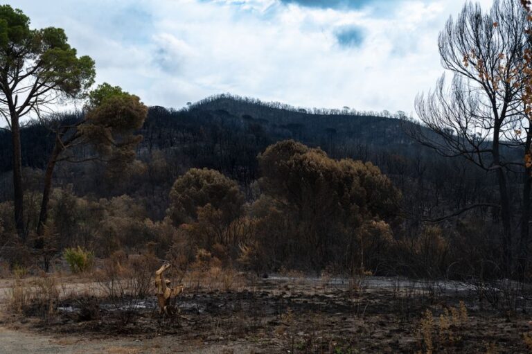 La crise des incendies en Europe met à l’épreuve les limites de la réponse d’urgence continentale