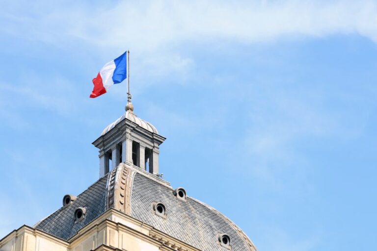 Les incendies de forêt offrent une arme politique au Rassemblement national