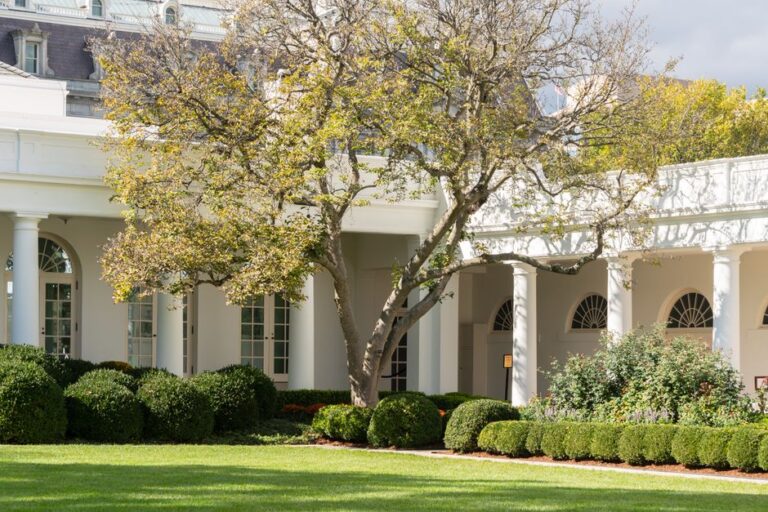 White House Divided Over Tone and Substance of Trump’s Election Remarks