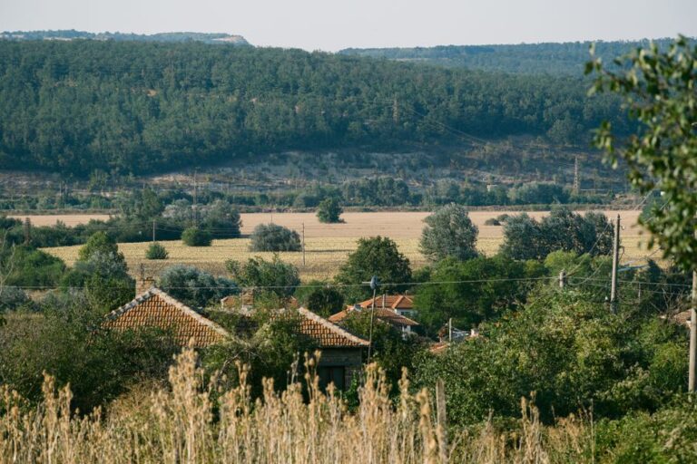 Ukraine Denies Targeting Bulgaria After Drone Detonates Close to Critical Gas Pipeline