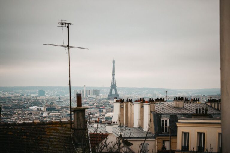 France Courts Saudi Investment for Billion-Euro Manga Theme Park Outside Paris
