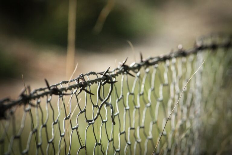 Washington Criticises Madrid Over Ceuta Migration Pressure in Transatlantic Spat