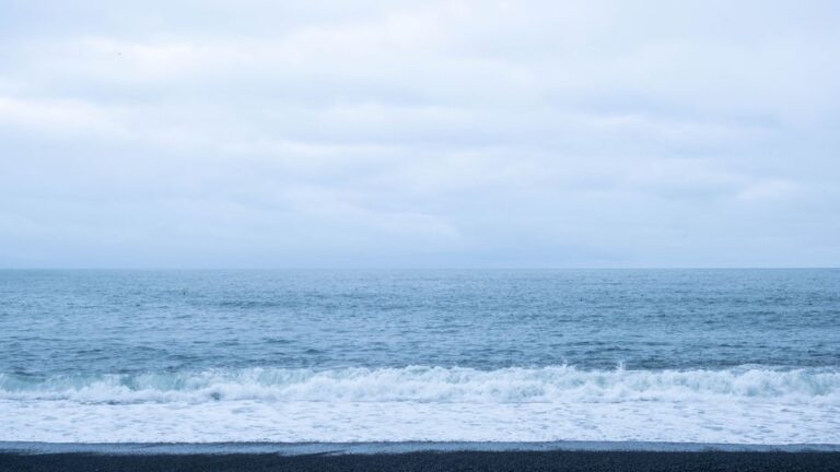 L’Islande expulse 21 militants anti-chasse à la baleine et leur interdit le territoire, confirme la police