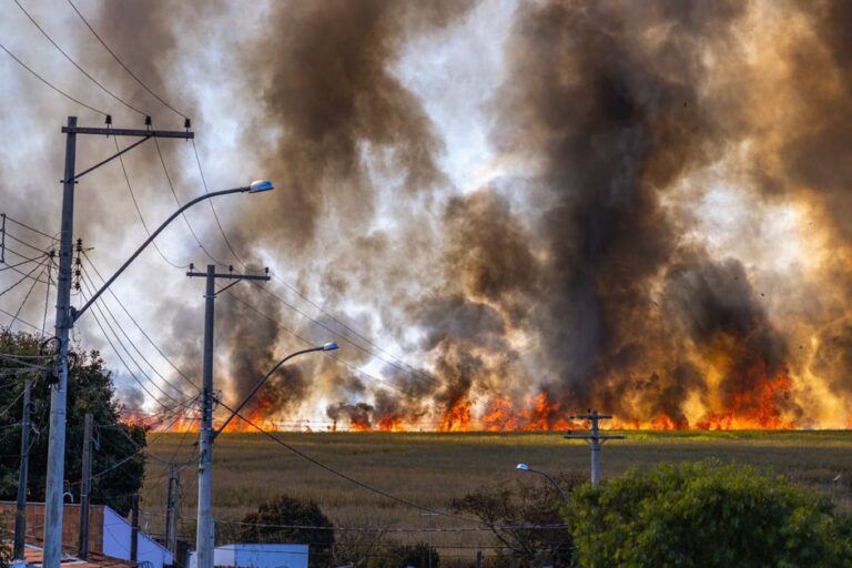 Les incendies et les vagues de chaleur resserrent leur étau sur une Europe assoiffée