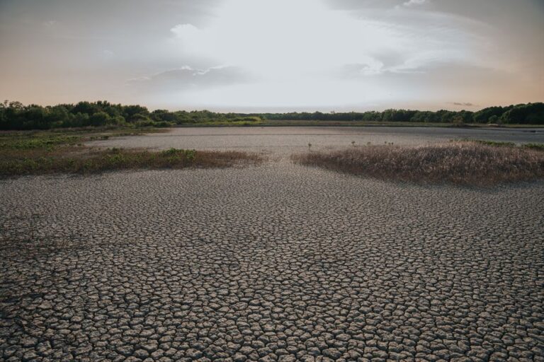 Le Royaume-Uni se prépare à un été potentiellement record alors que la pression des canicules s’intensifie en Europe
