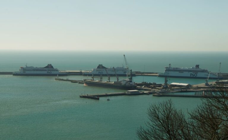 Masked Demonstrators Disrupt Dover Port Operations Before Dispersing Peacefully