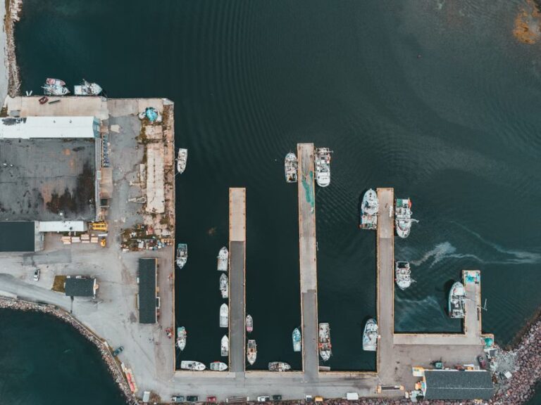 Greek Marine Fisheries Generate €166.6 Million in 2025 as Anchovy Leads Record Haul