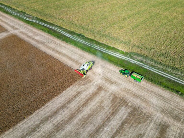 La chef de l’agriculture européenne avertit les agriculteurs : préparez-vous à des budgets serrés face aux pressions climatiques