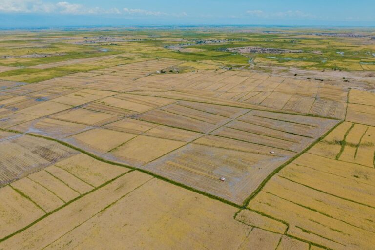 Le Forum africain des systèmes alimentaires confronte le déficit d’investissement qui freine la croissance agricole