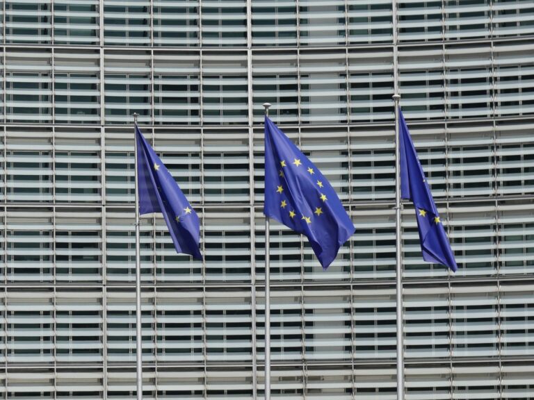 EU Withdraws Sponsorship from Disinfo2026 Event in Lithuania