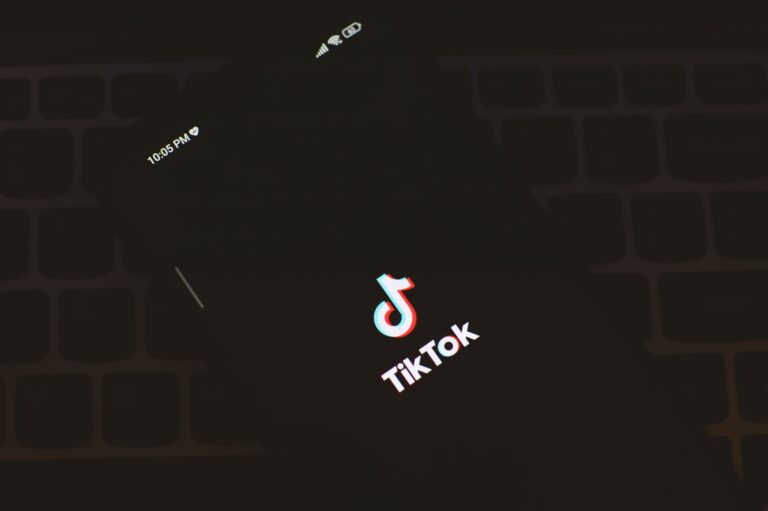 TikTok experiment reveals how algorithms shape young voters’ political views in Germany