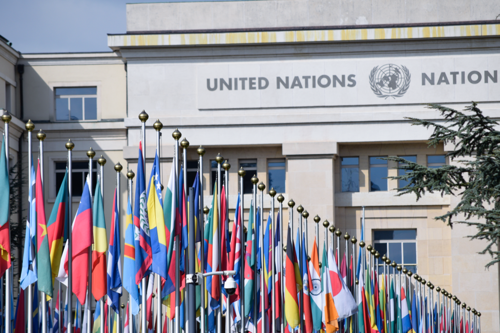 UN food agency under fire over Palantir contract amid Gaza crisis
